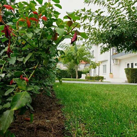 Elektra - Gasthof Sulina